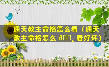 通天教主命格怎么看（通天教主命格怎么 🕸 看好坏）